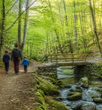 Ilustración de una persona adulta y dos niños junto a un arroyo y un puente de madera en el bosque